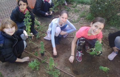 כיתה ה'2 שותלת פרחים ברחבת ביה"ס.