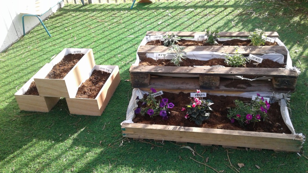 ילדי הגן שותלים בערוגות שיצרו בעצמם בחצר הגן